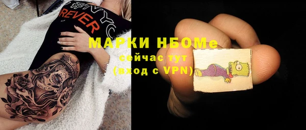 амф Новодвинск