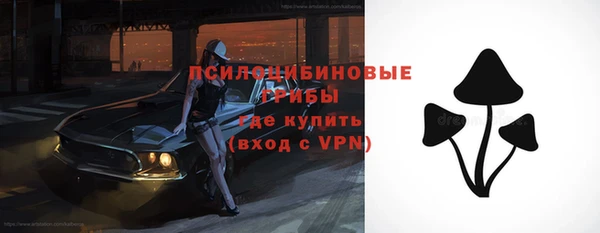 амф Новодвинск