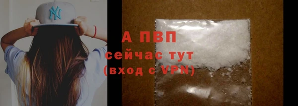 амф Новодвинск