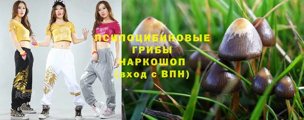 таблы Новокубанск