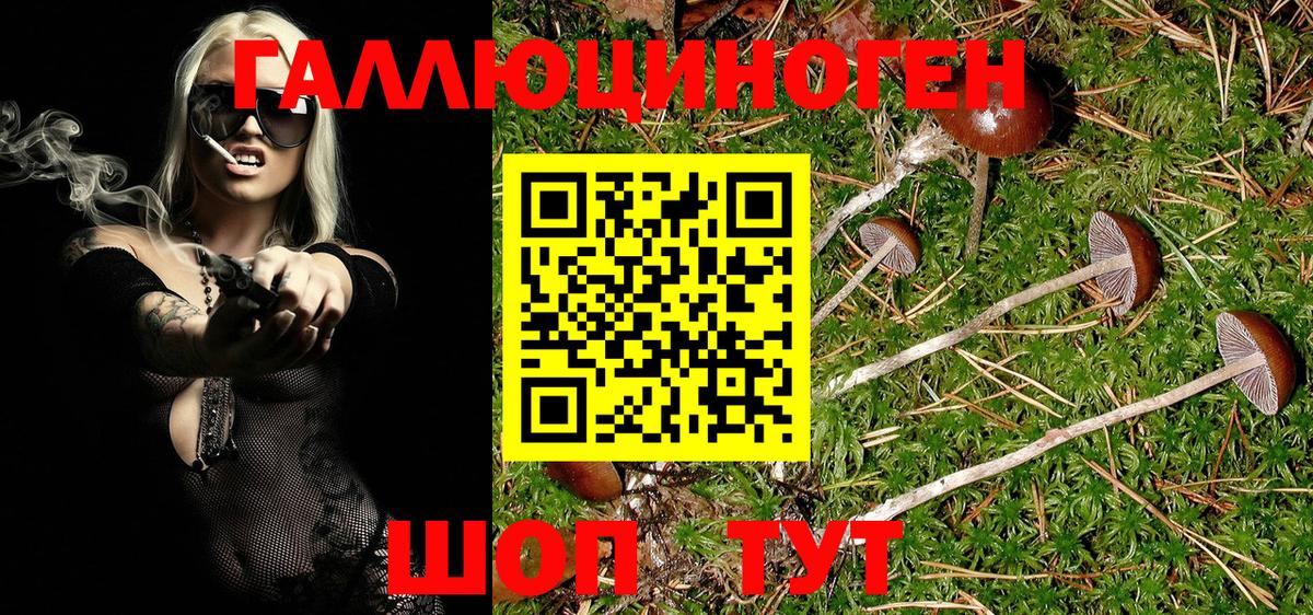 Псилоцибиновые грибы GOLDEN TEACHER Урюпинск