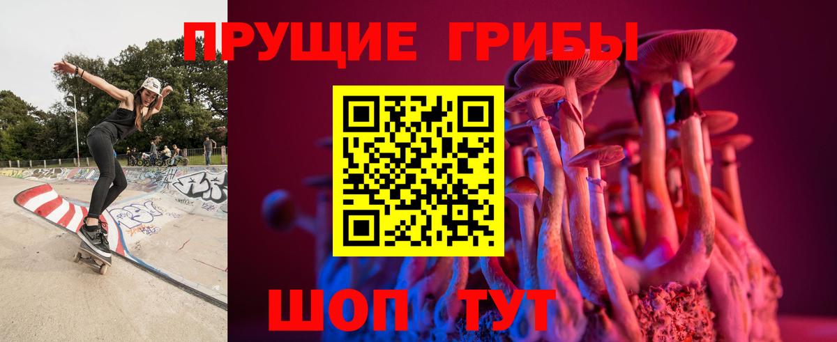 Галлюциногенные грибы Psilocybine cubensis  Псилоцибиновые грибы Psilocybine cubensis  Урюпинск  Вход с VPN 
