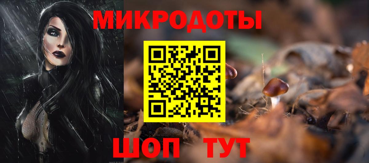 Галлюциногенные грибы Psilocybine cubensis Урюпинск